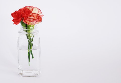 卧室摆放什么容易招桃花，花瓶可以促进桃花运