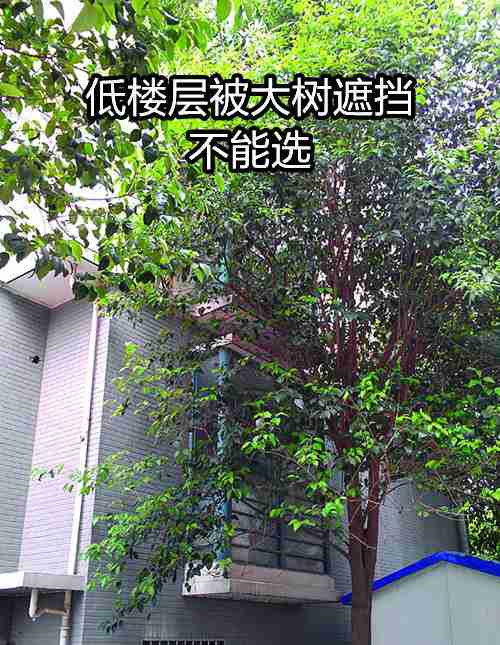 风水楼层高好还是低好？
