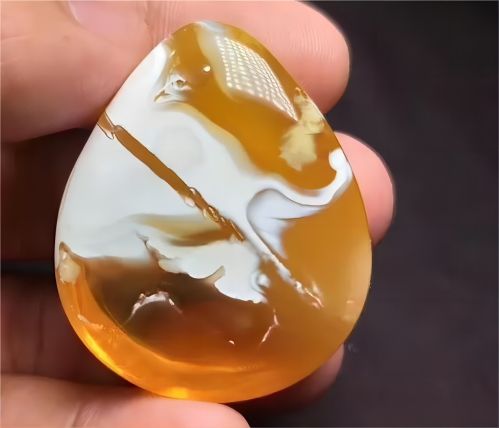 白蜡金最忌讳什么职业