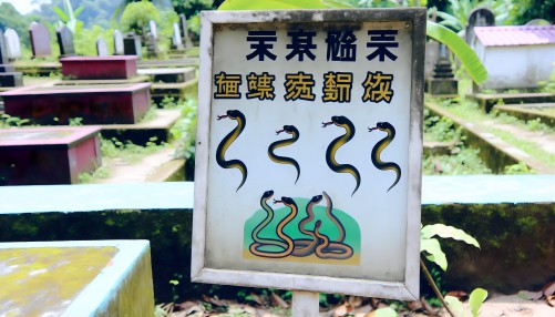 坟地里有蛇风水怎么说