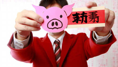 属猪男的性格和脾气及爱情
